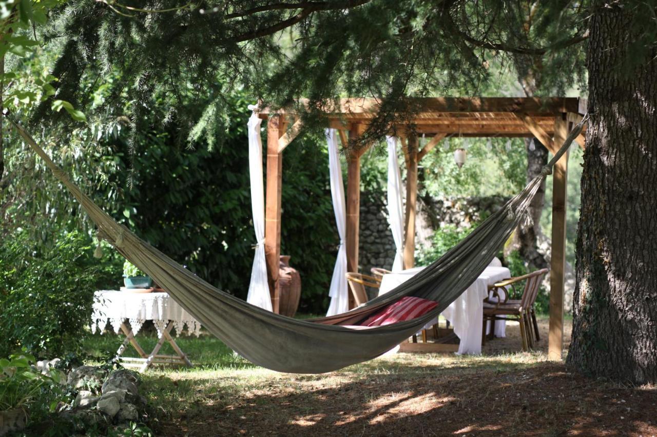 Tocane-Saint-Apre Puypinet Bed & Breakfast エクステリア 写真